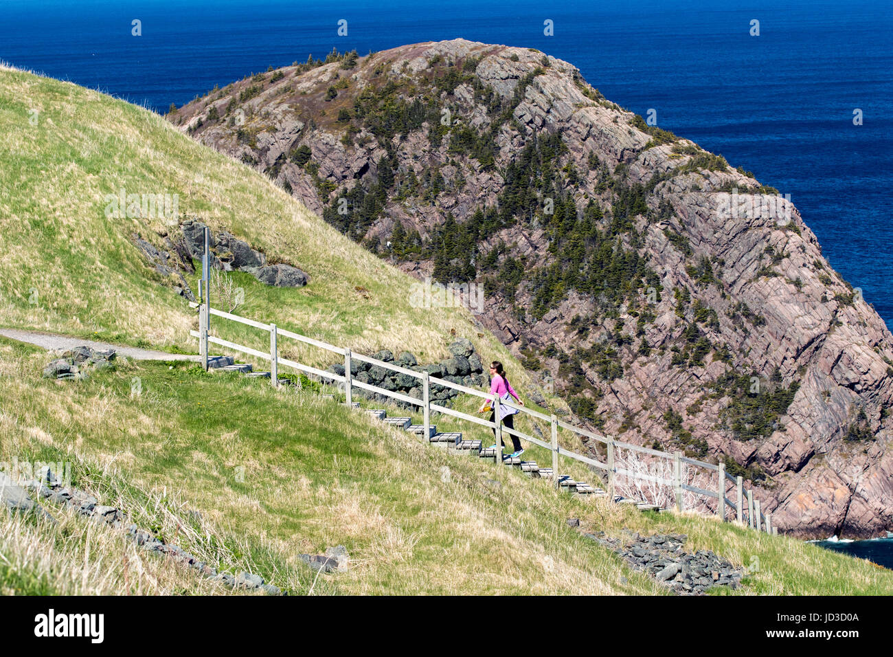 Wanderwege am Signal Hill - St. John's, Avalon Halbinsel, Neufundland, Kanada Stockfoto