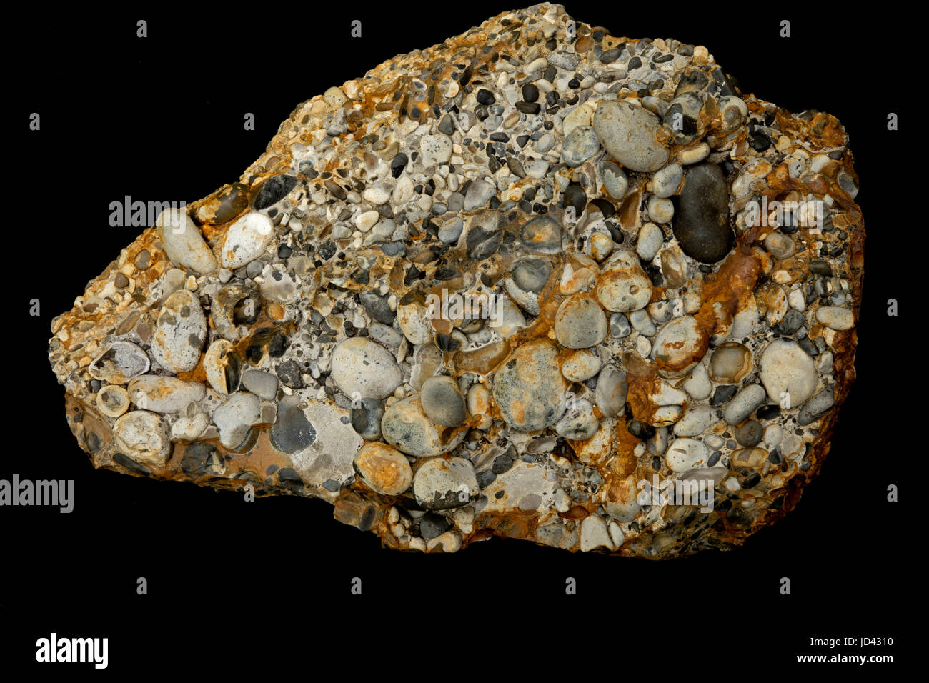 Hertfordshire Gesteinskonglomerat, bestehend aus Konglomerat in erster Linie Feuerstein Gesteinsfragmente in einer siliziumhaltigen Matrix, Hertfordshire, England Stockfoto