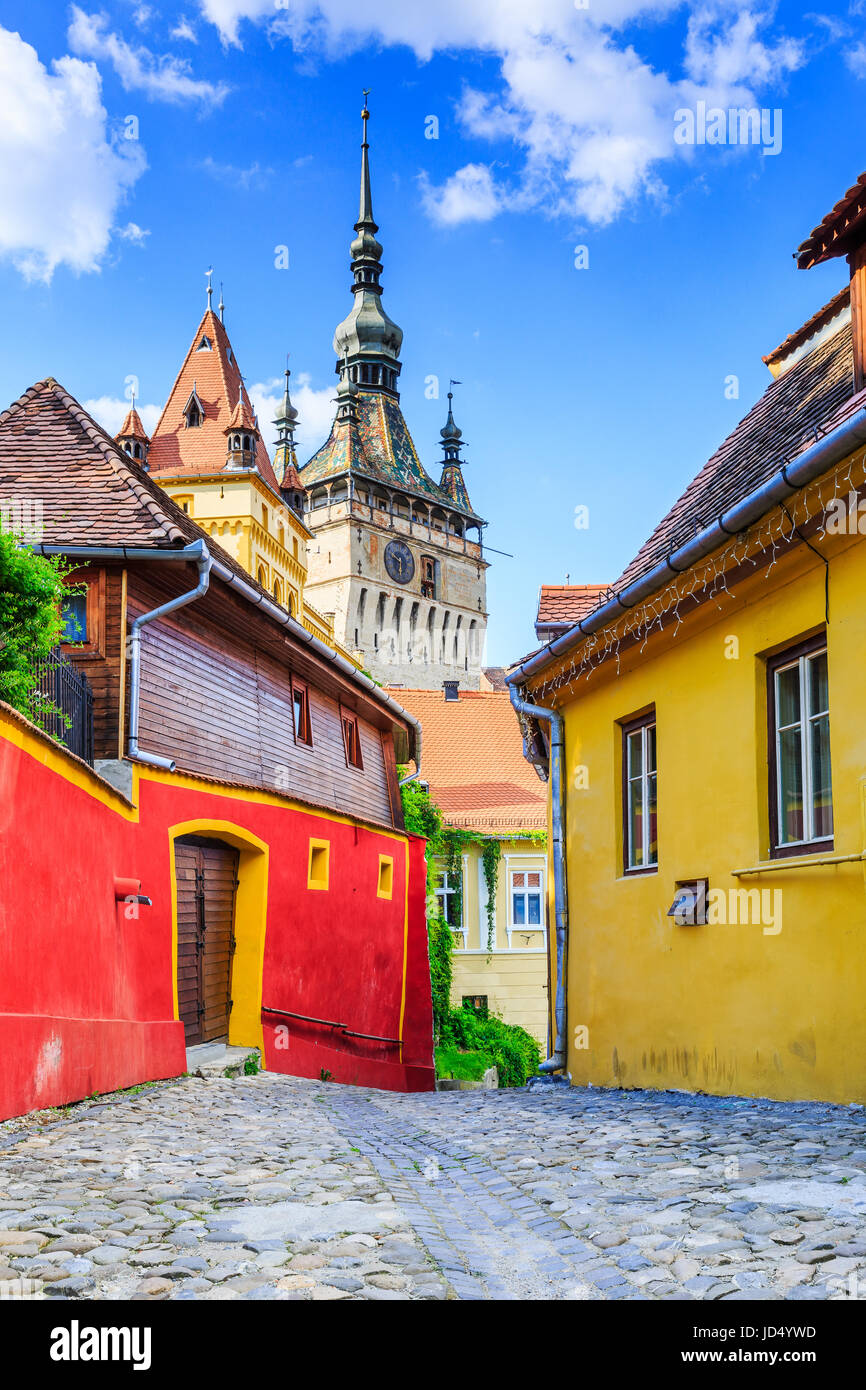 Sighisoara, Rumänien. Mittelalterliche Straße mit Uhrturm in Siebenbürgen. Stockfoto
