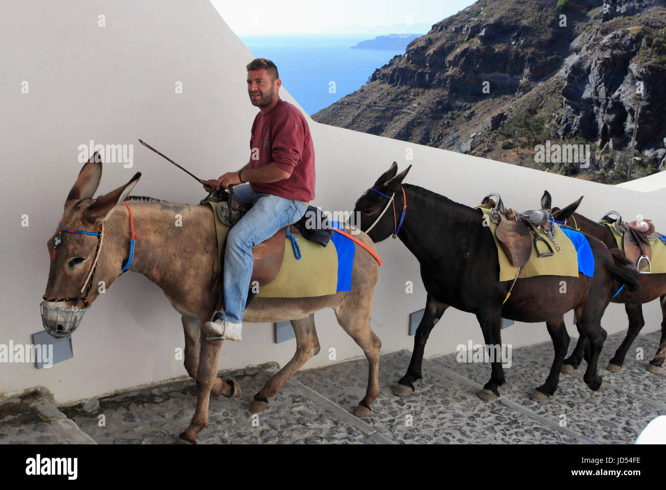 Griechenland, Kykladen, Santorini, Mann einen Esel reiten, Stockfoto