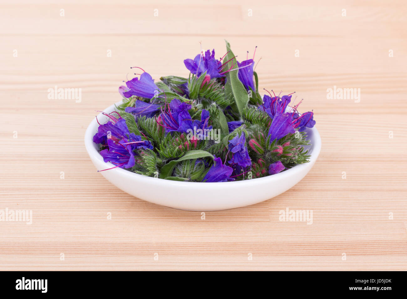 Schale mit Blumen von der Viper's bugloss Stockfoto