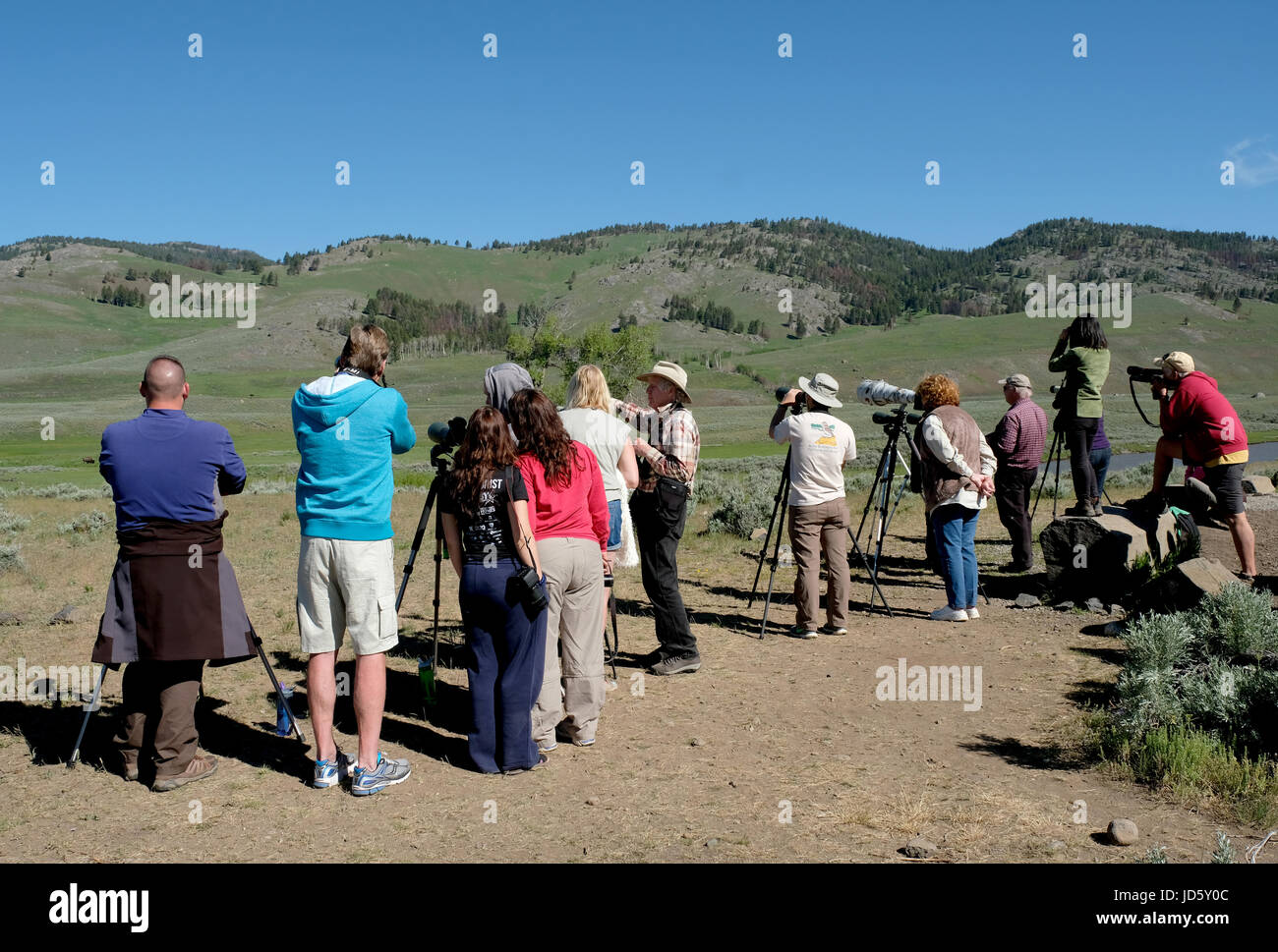 Yellowstone-Nationalpark, Wyoming, USA: Naturbeobachter Beobachtung der Wölfe Höhle an einem Sommertag Stockfoto