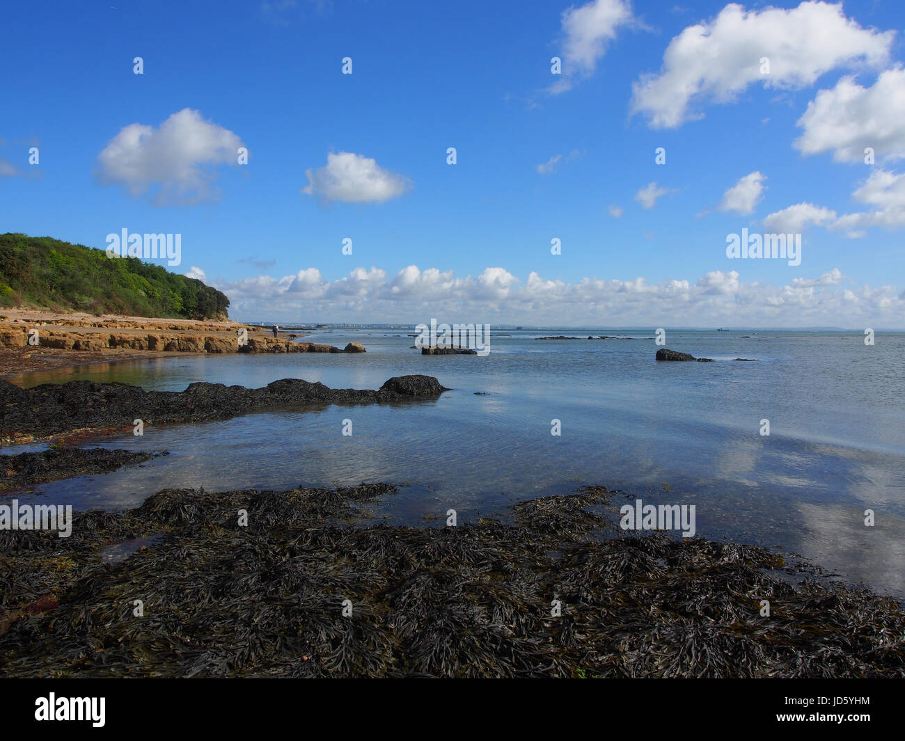 Die Küste von St. Helena Duver, St Helens, Knoten Punkt, Isle Of Wight Stockfoto