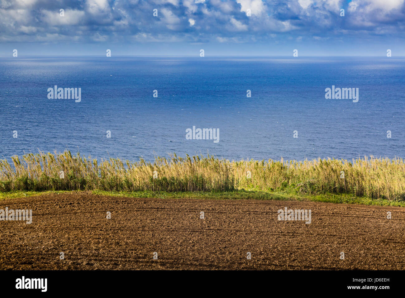 Küste der Insel Sao Miguel im Atlantischen Ozean. Sao Miguel ist Teil des Azoren-Archipels. Stockfoto