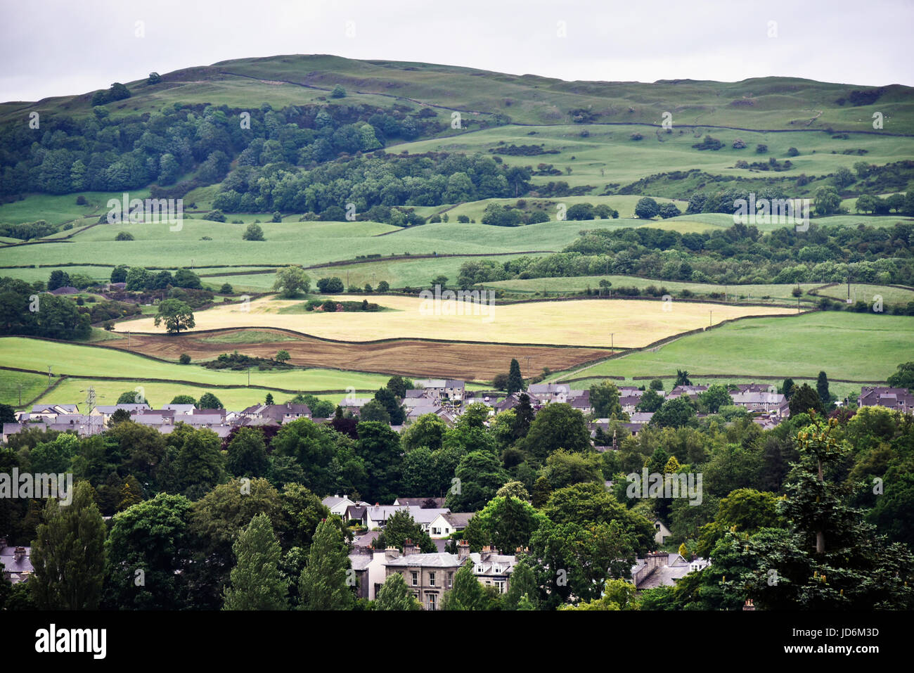 Landwirtschaftlichen Bereich Muster zeigen bedeckte eine Fläche von Grünland schneiden für Silage und einen Bereich mit Dünger. Kendal, Cumbria, England, Vereinigtes Königreich. Stockfoto