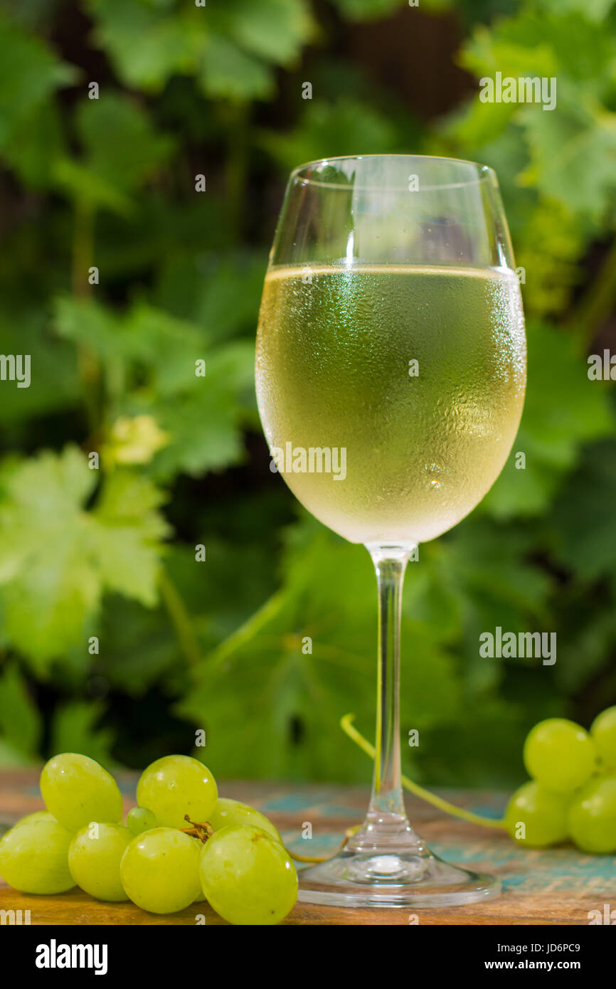 Weinglas mit Eis kalte Weißwein, Außenterrasse, Weinprobe in sonniger Tag, grüne Weinberg Garten Hintergrund und weiße Rebsorte Stockfoto