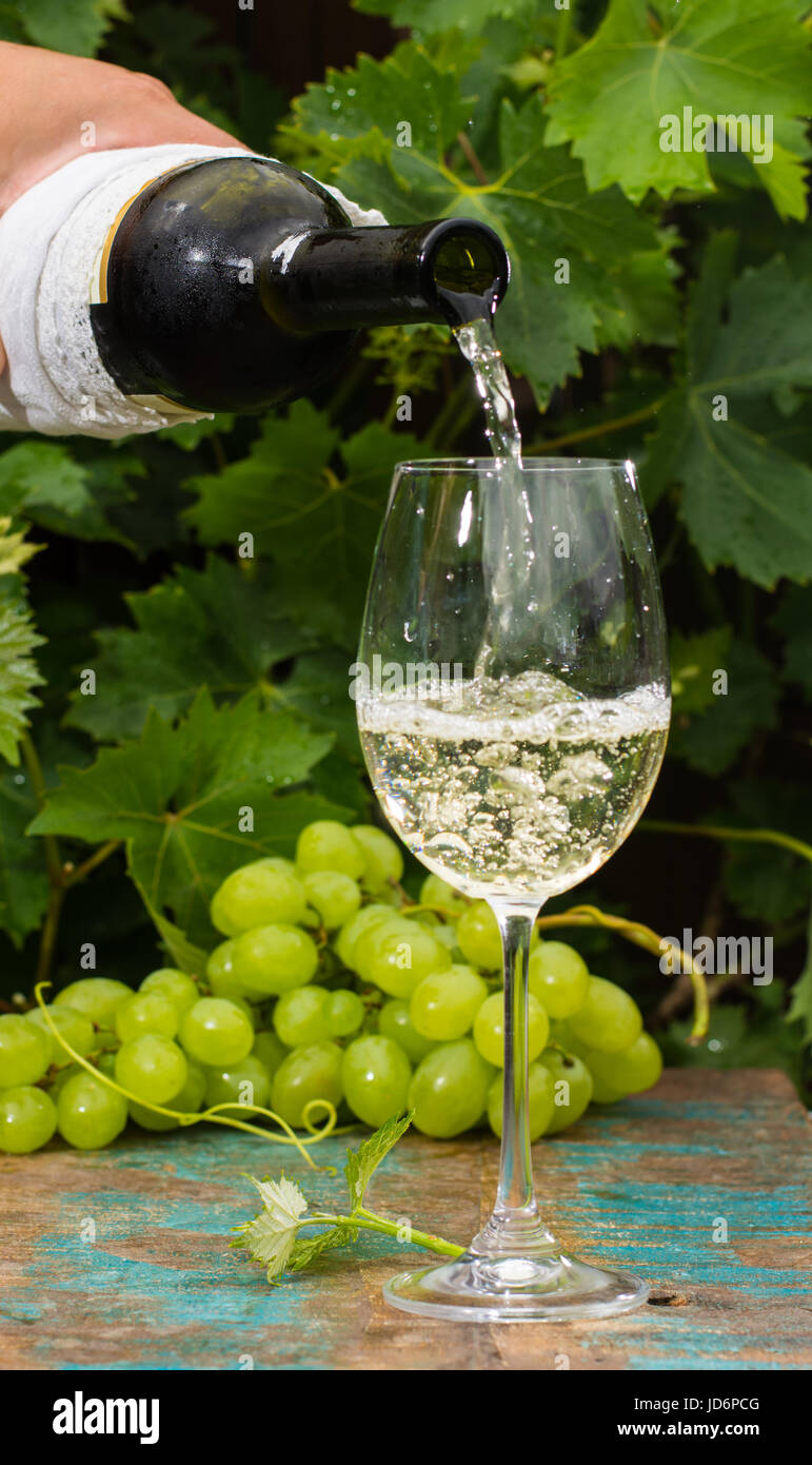 Kellner, gießen ein Glas eiskalten Weißwein, Außenterrasse, Weinprobe im sonnigen Tag, grüne Weinberg Garten Hintergrund und weiße Rebsorte Stockfoto