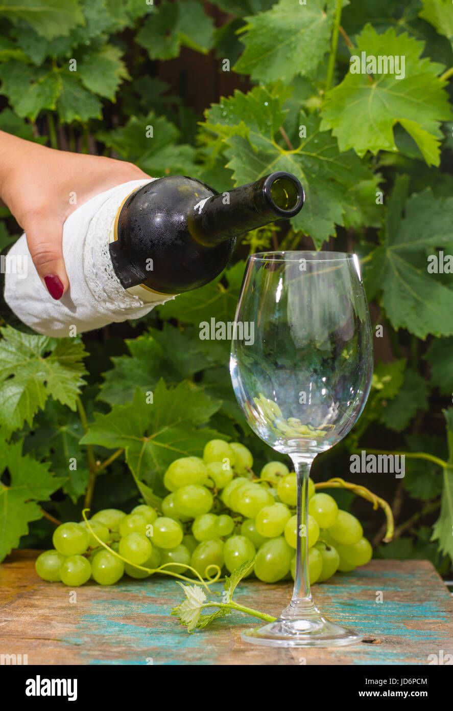 Kellner, gießen ein Glas eiskalten Weißwein, Außenterrasse, Weinprobe im sonnigen Tag, grüne Weinberg Garten Hintergrund und weiße Rebsorte Stockfoto