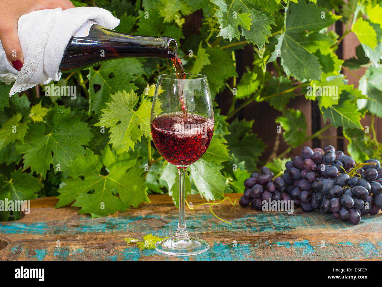 Kellner, gießen ein Glas Rotwein, Außenterrasse, Weinprobe im sonnigen Tag, grüne Weinberg Garten Hintergrund und Rote Traube Stockfoto