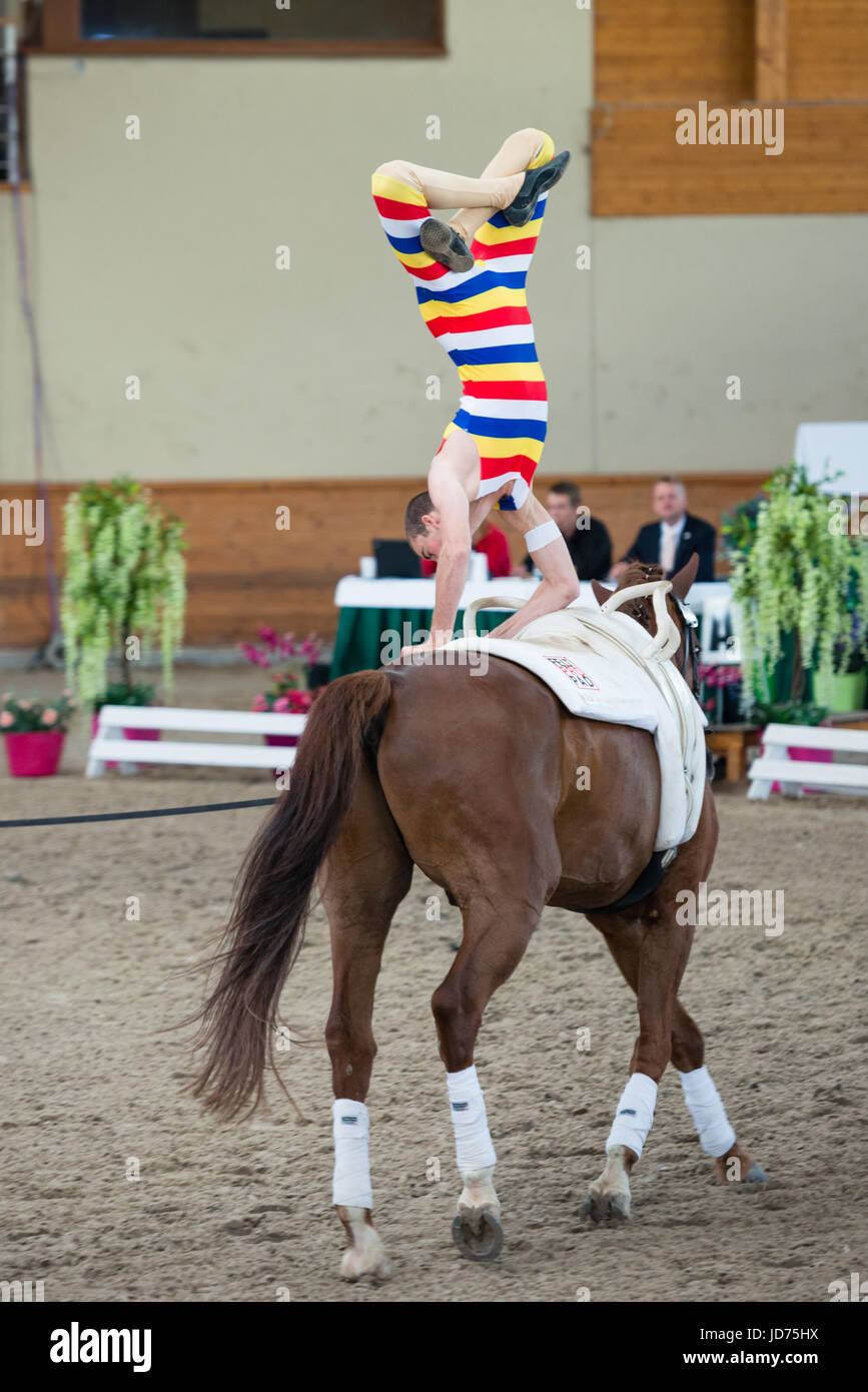 Pezinok, Slowakei. 18. Juni 2017. Leistung von Balazs Bence aus Ungarn beim Vaulting Competition Finale am 18. Juni 2017 in Pezinok, Slowakei Credit: Lubos Paukeje/Alamy Live News Stockfoto