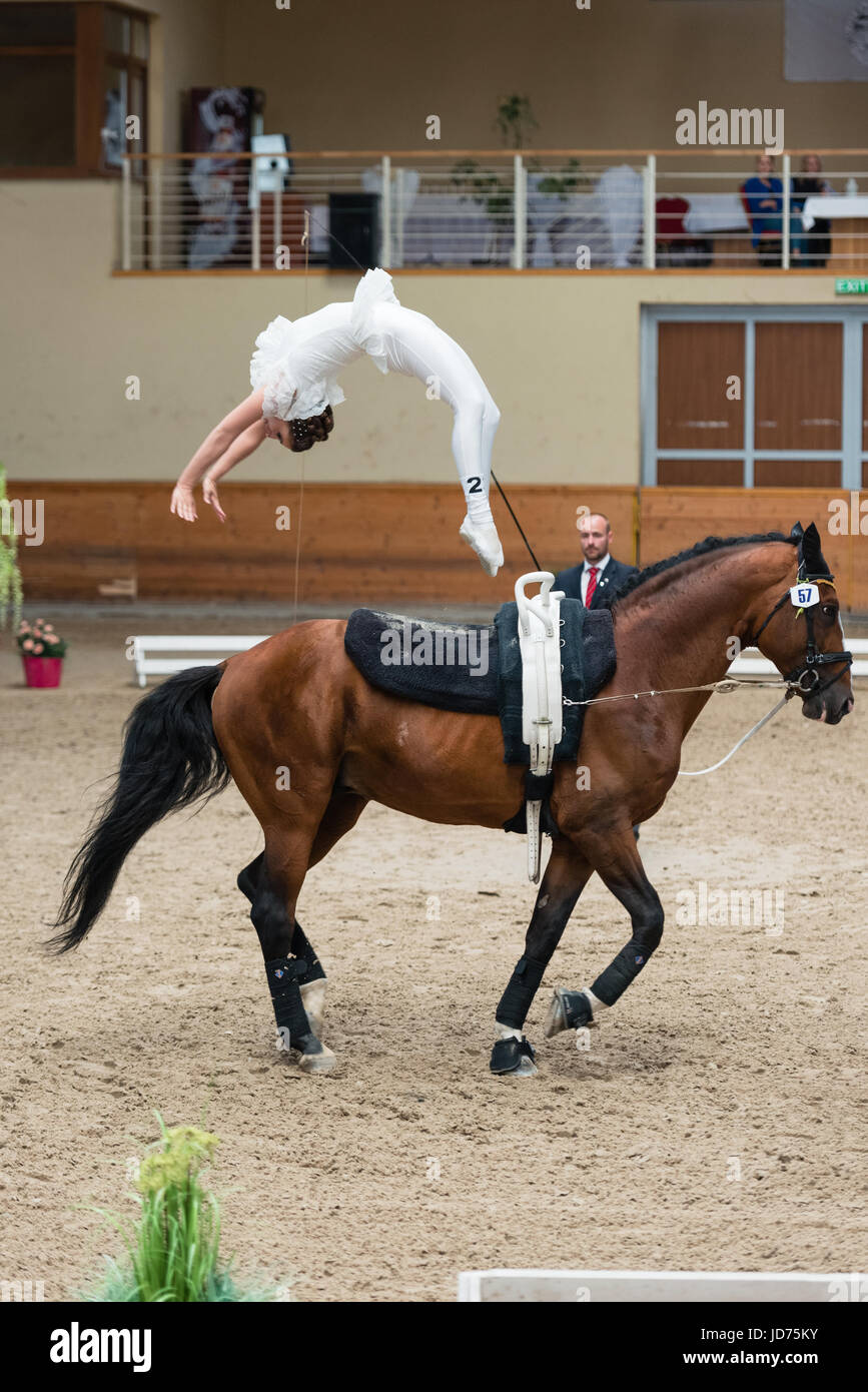 Pezinok, Slowakei. 18. Juni 2017. Leistung von Daniela Fritz aus Österreich beim Vaulting Competition Finale am 18. Juni 2017 in Pezinok, Slowakei Credit: Lubos Paukeje/Alamy Live News Stockfoto