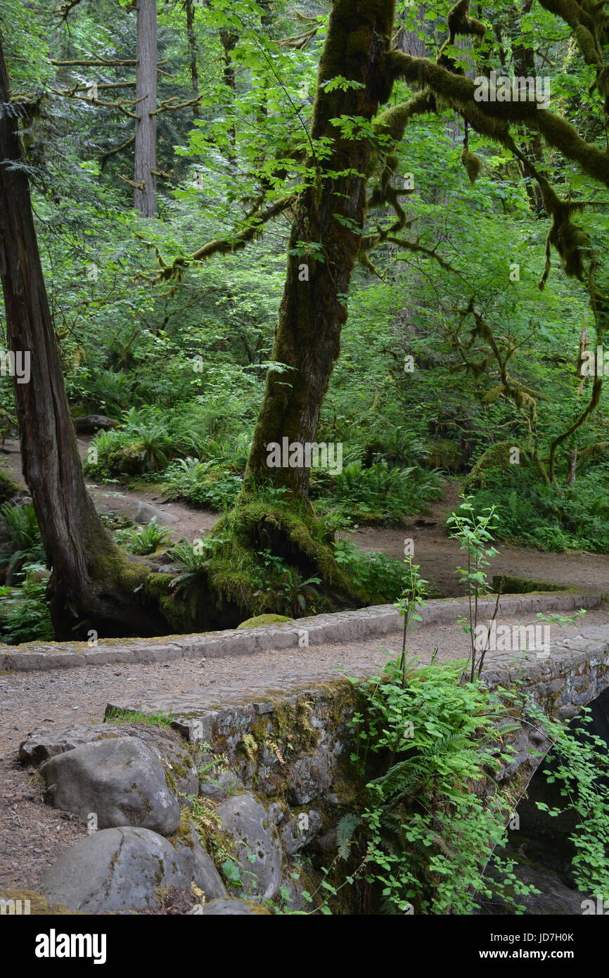 Wanderweg Stockfoto