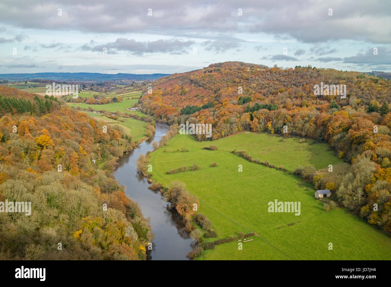 Herbst im Forest of Dean aus Symonds Yat Rock, Herefordshire, England, UK Stockfoto