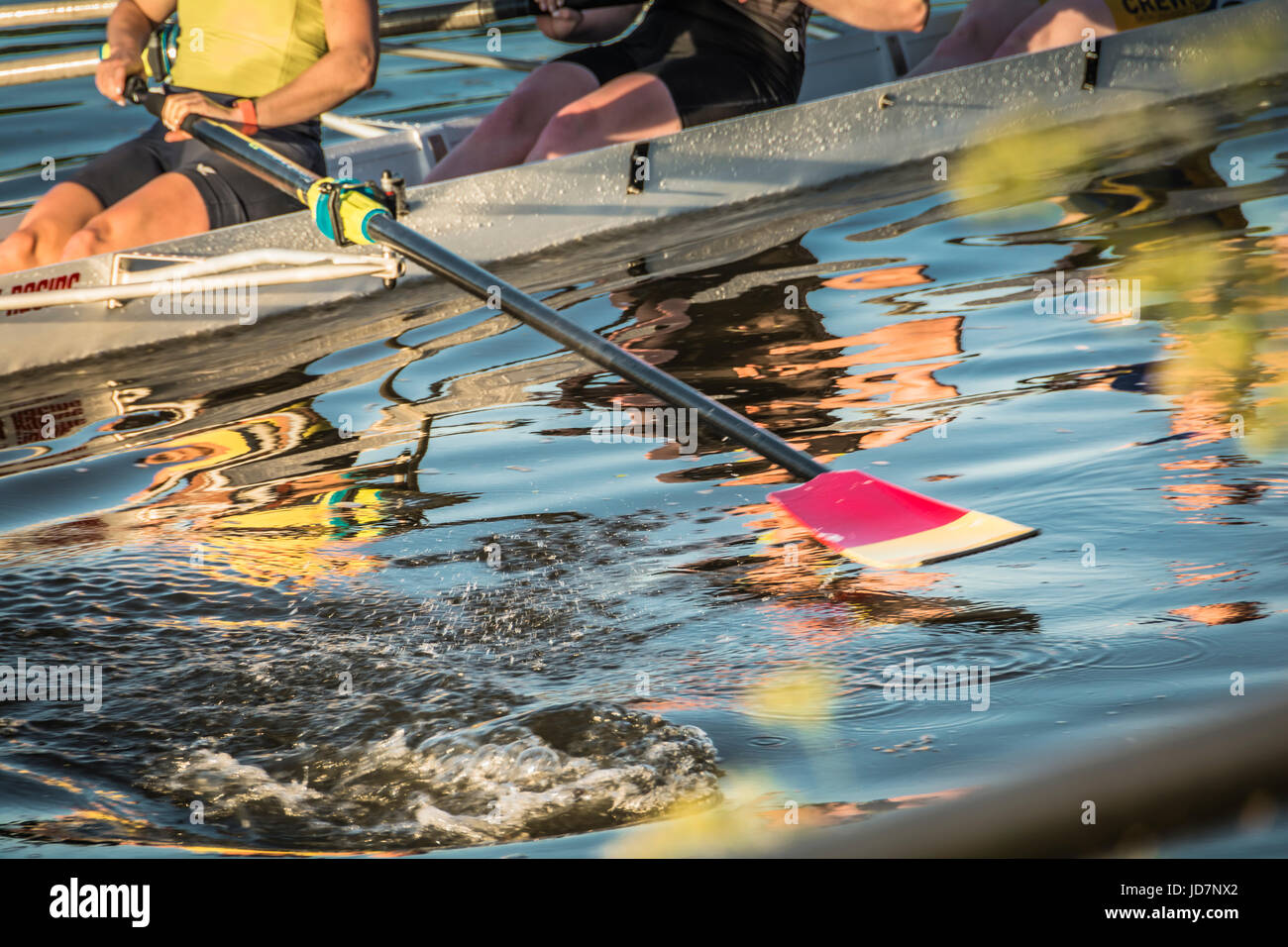 Spiegelungen in der Themse von Ruderern in einem koxlosen Ruderboot mit vier Ruderbooten Stockfoto