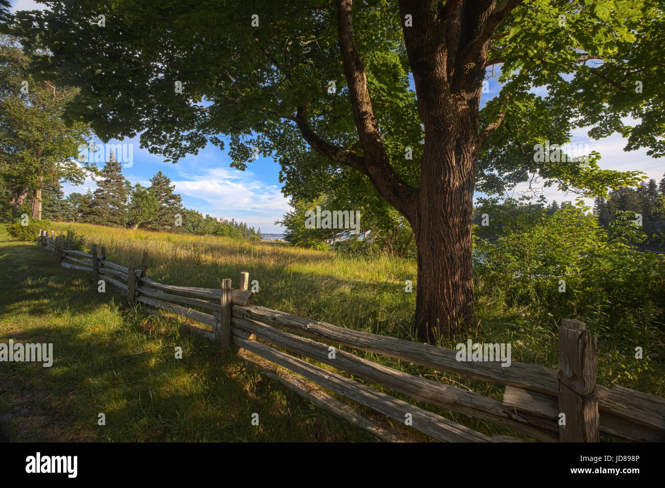 Landstraße auf Mt. Dessert Insel in Maine. Stockfoto