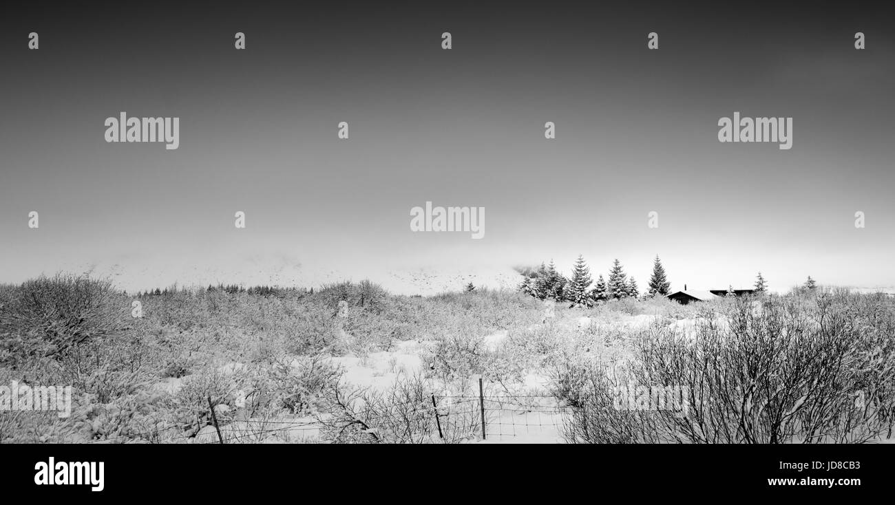 Tief verschneite Landschaft, Pflanzen und Sträuchern fallenden Tag, Island, Europa, schwarz und weiß. Island-Natur 2017 Winterkälte Stockfoto