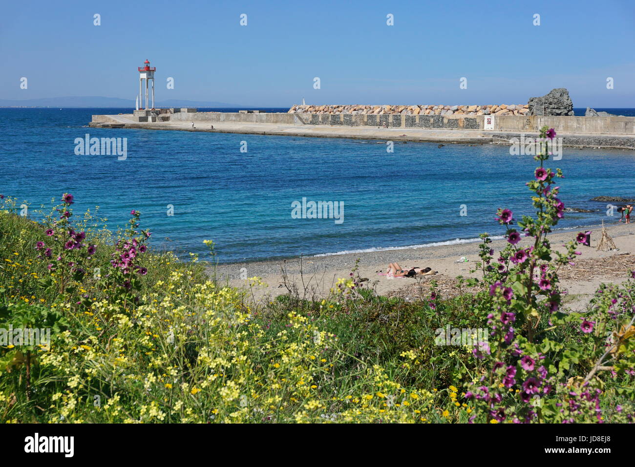 Steg mit einem Leuchtturm und Strand mit Blumen im Vordergrund, Port-Vendres Hafen, Cote Vermeille, Mittelmeer, Pyrenäen Orientales, Frankreich Stockfoto