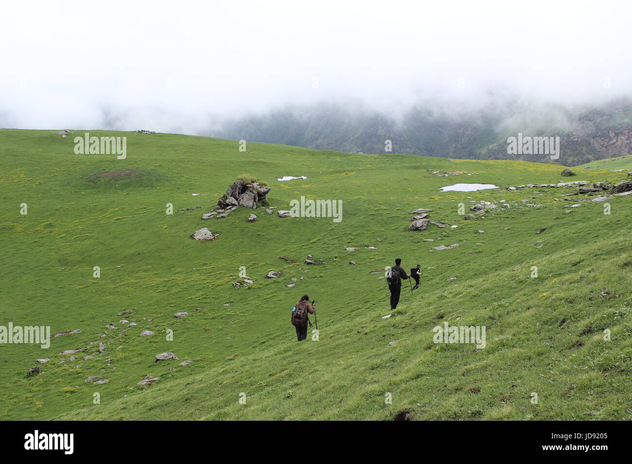 Die Wiesen des Himalaya Stockfoto