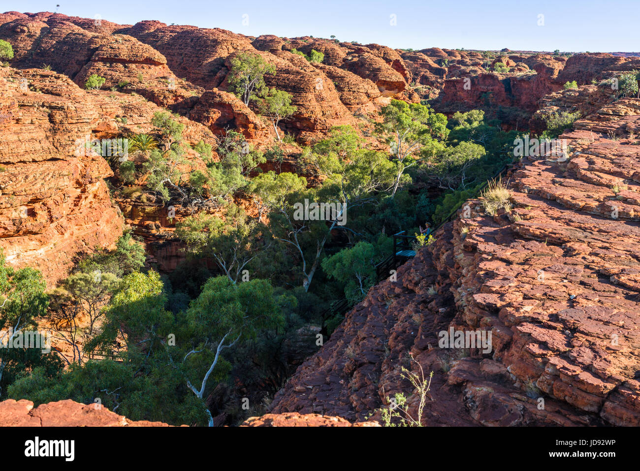 Dramatische Landschaft am Kings Canyon, Northern Territory, Australien Stockfoto