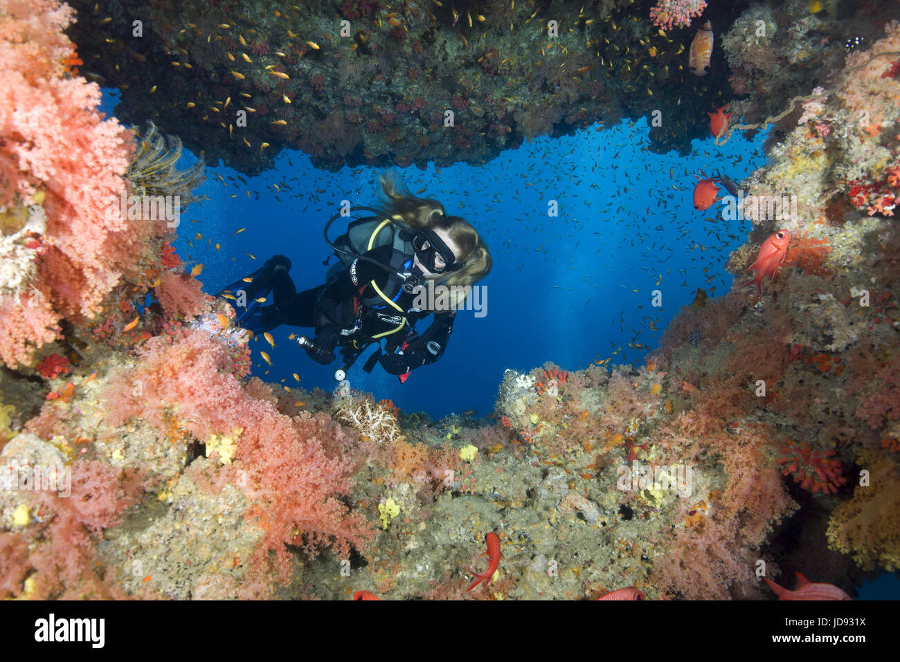 Weibliche Taucher suchen am Scool von Fischen in der Höhle, Indischer Ozean, Malediven Stockfoto