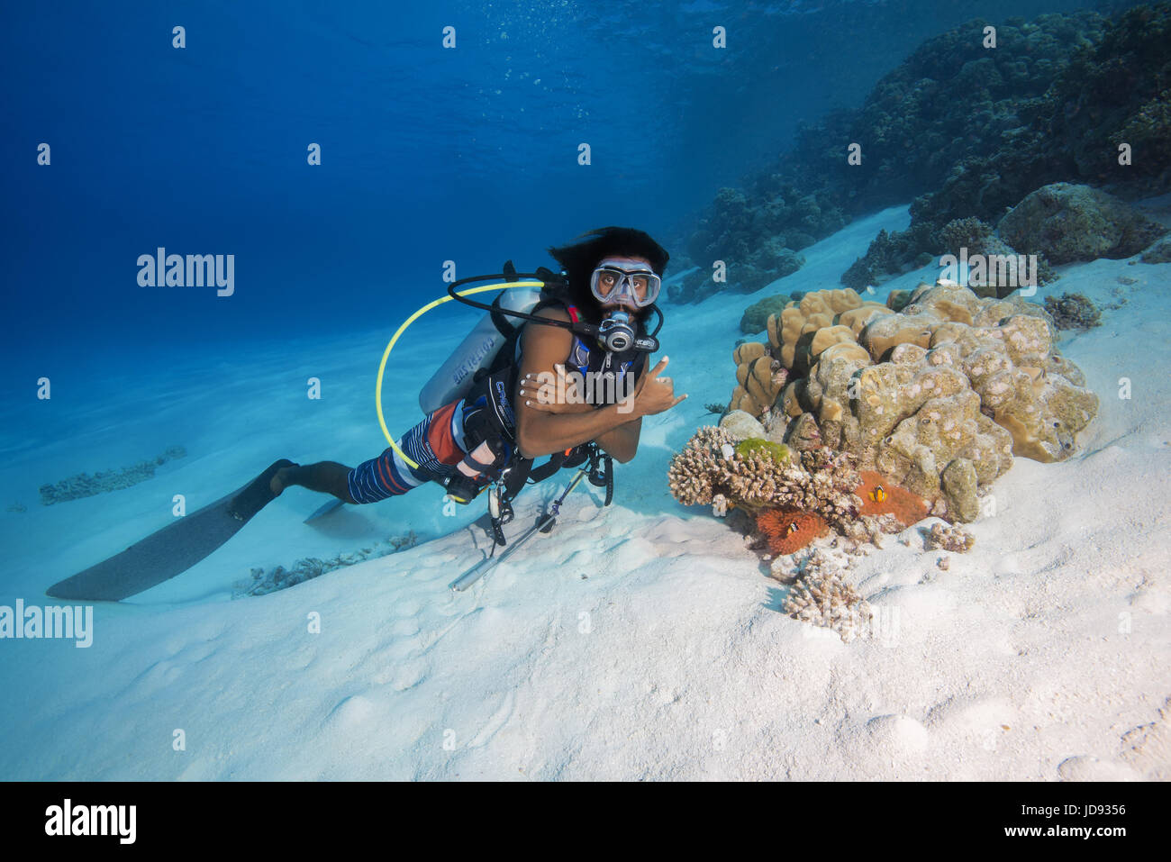 Männlichen Taucher suchen auf Litle Korallenriff auf Sandboden, Indischer Ozean, Malediven Stockfoto