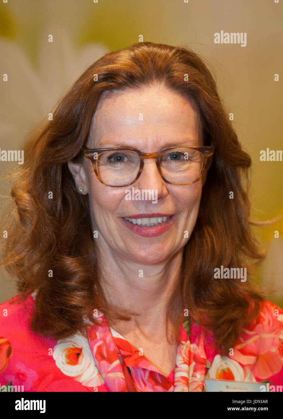 BIRGITTE BONNESEN CEO Swedbank 2017 Stockfoto