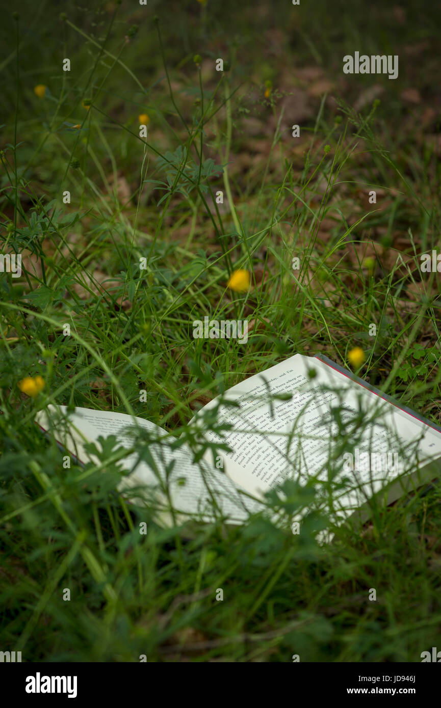 Offene Bücher außerhalb im Bereich der Grass & Blumen Stockfoto