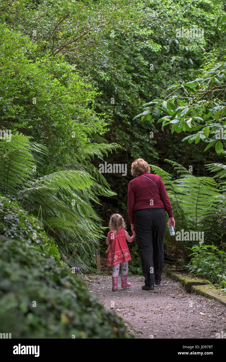 Eine Großmutter und ihre Enkelin zu Fuß entlang eines Pfades im subtropischen Trebah Garten in Cornwall. Stockfoto