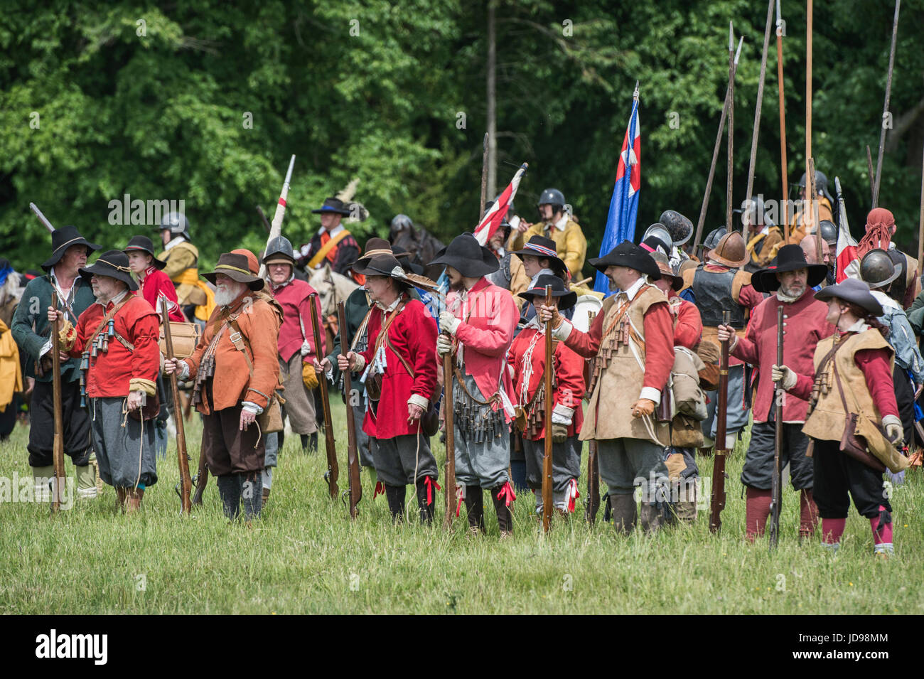 Parlamentarier Musketiere Schlacht bei einem Sealed Knot englischen Civil War Reenactment Event vorbereiten. Charlton Park, Malmesbury, Wiltshire, UK. Stockfoto