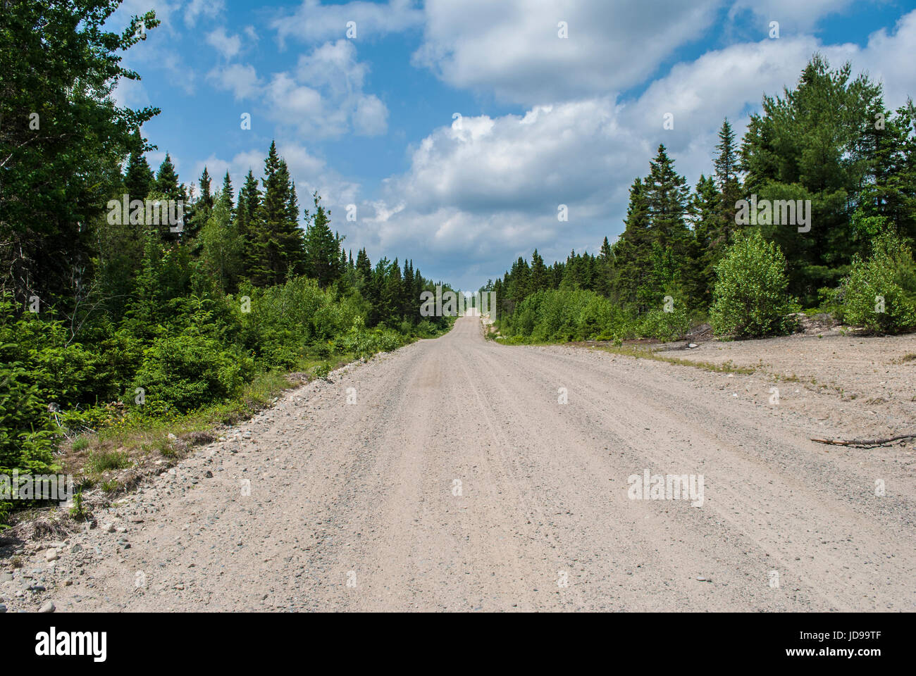 Lange unbefestigte Straße in der Mitte des Maines North Woods Stockfoto