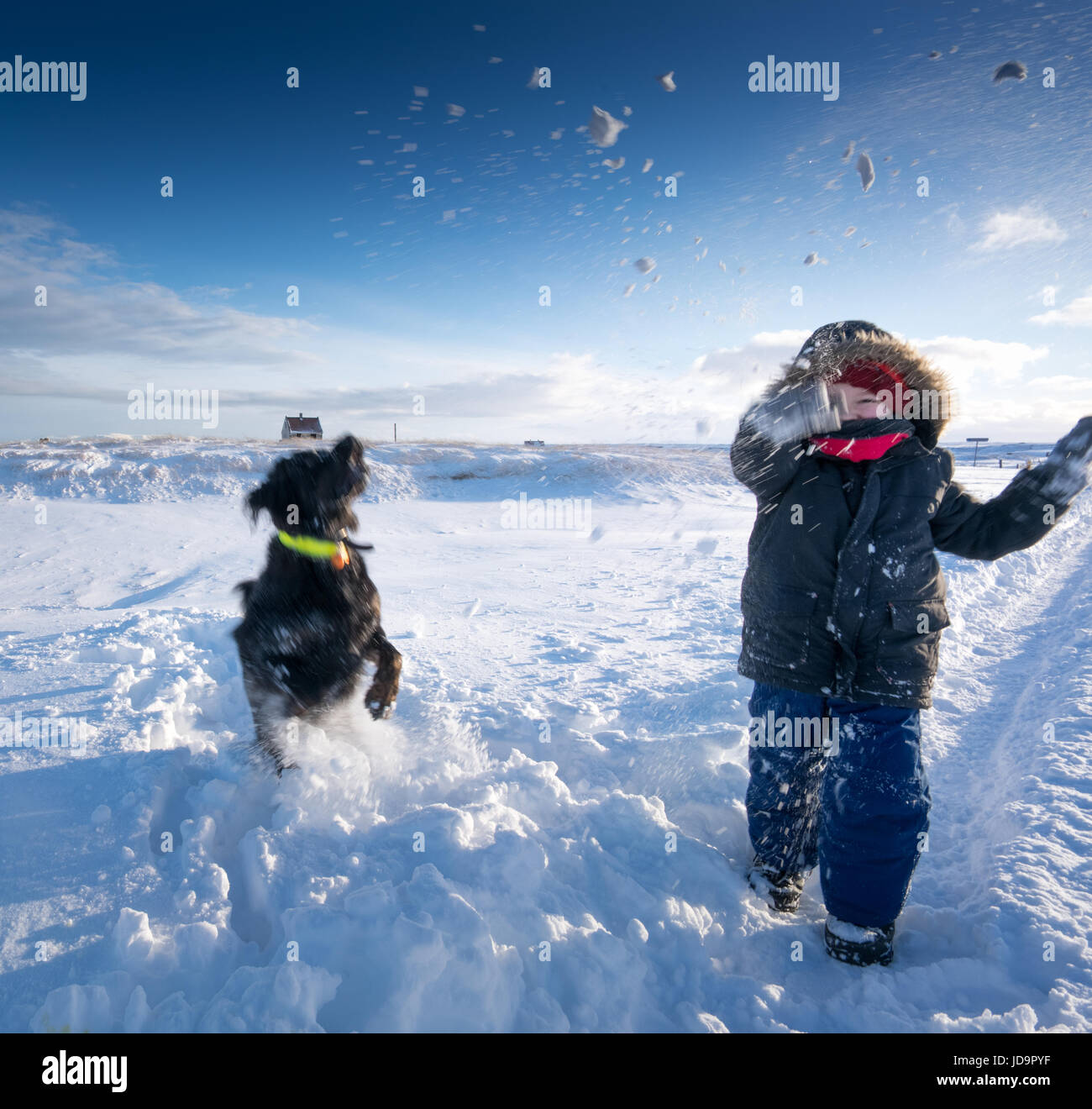 Junge und Hund spielen im Tiefschnee, Island, Europa. Island-Natur 2017 Winterkälte Stockfoto