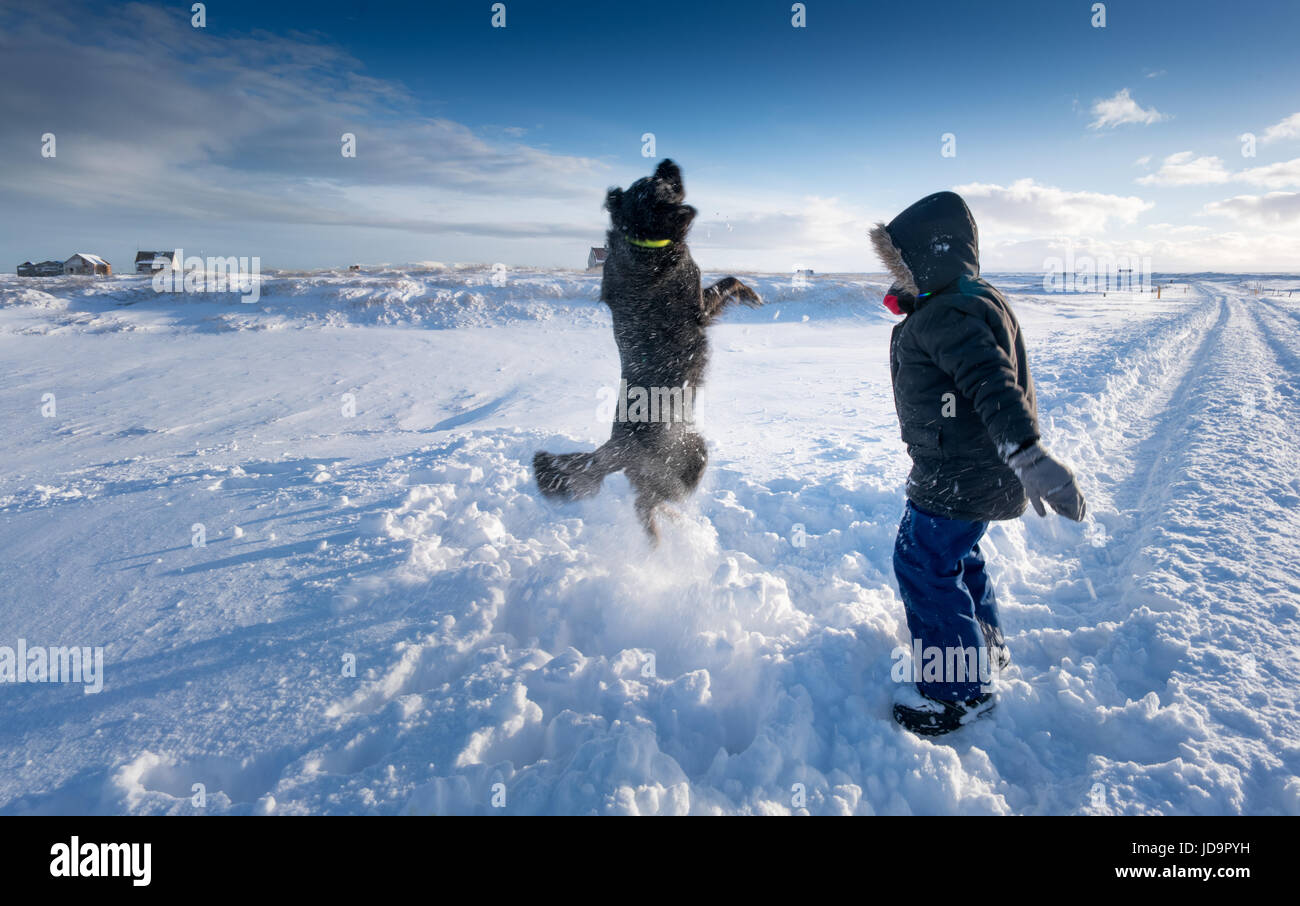 Junge und Hund spielen im Tiefschnee, Island, Europa. Island-Natur 2017 Winterkälte Stockfoto