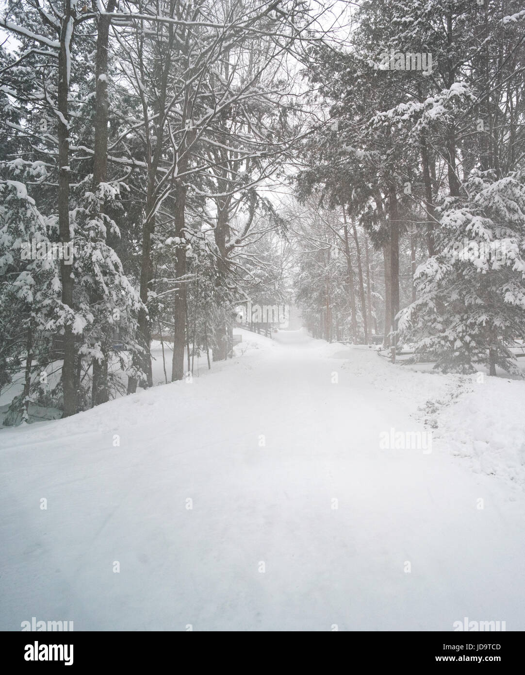 Weg durch Schnee bedeckt, menschenleer, Wald, unberührte Schnee im Vordergrund Ontario Kanada Winter kalt 2017 Schnee Stockfoto