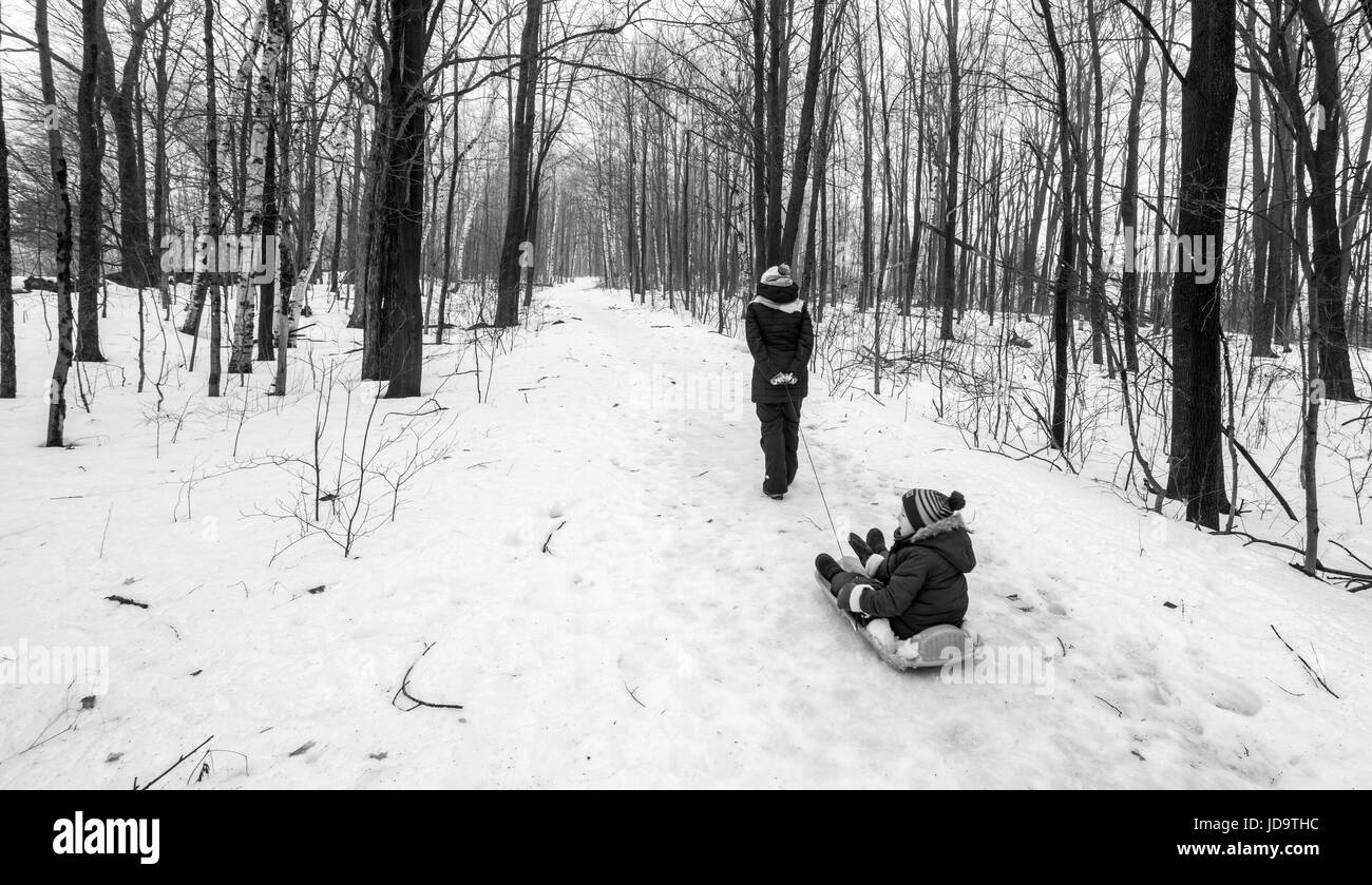 Mutter zieht Sohn auf Schlitten in Wäldern im Winter, Ontario, Kanada. Ontario Canada Winter kalt 2017 Schnee Stockfoto