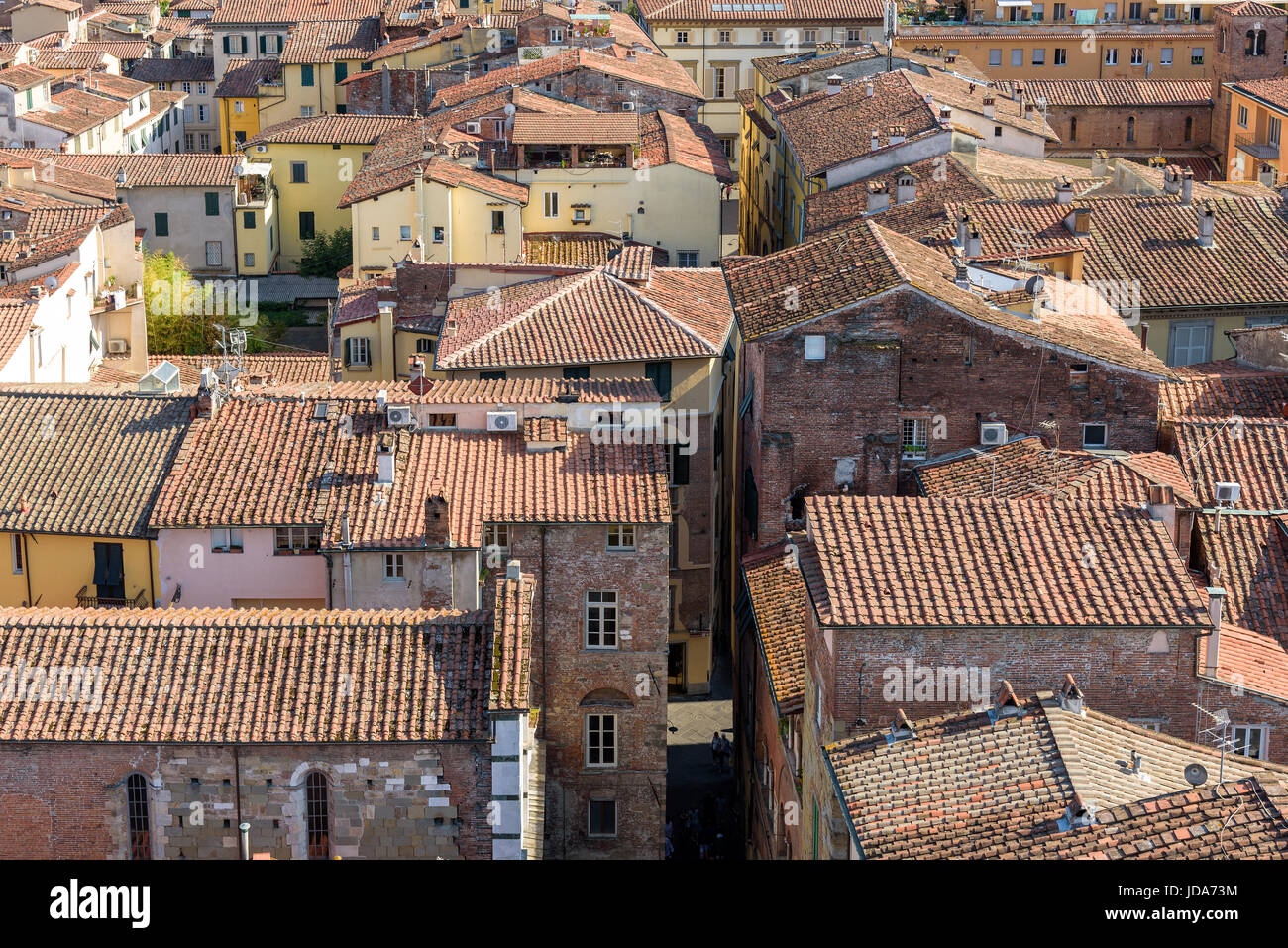 Luftbild von der mittelalterlichen Stadt Lucca, Toskana, Italien Stockfoto