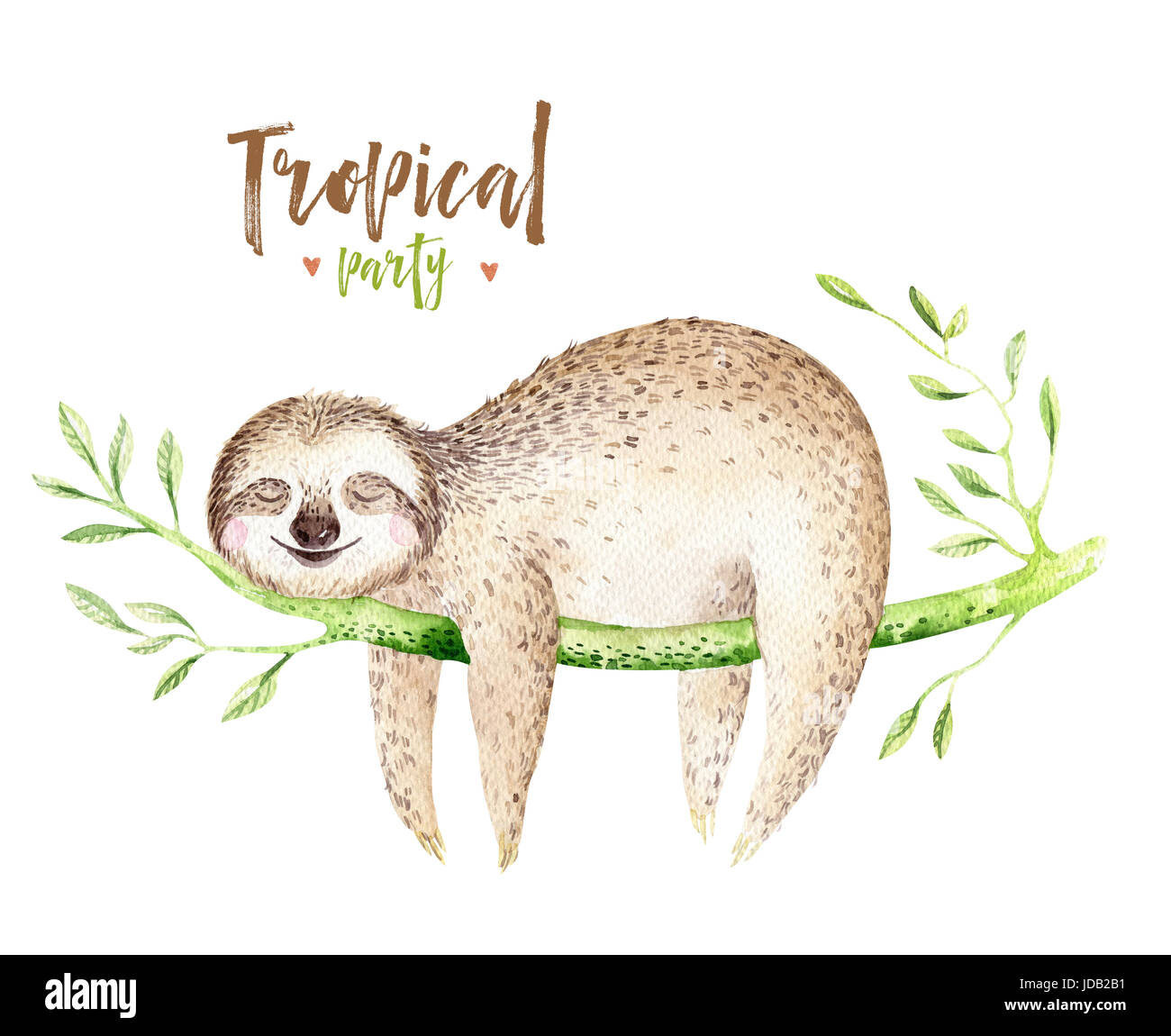 Baby Tiere Faultier Kindergarten isoliert Malerei. Aquarell Boho tropischen zeichnen, Kind tropischen Abbildung. niedliche Palme Blätter, tropischen Grün textu Stockfoto