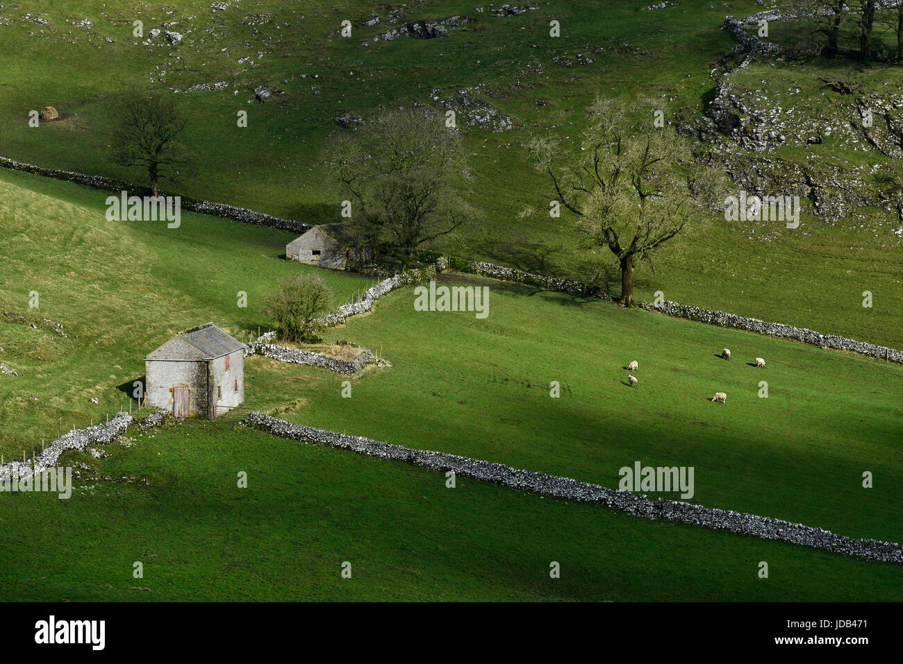 Alte Scheunen in Dübel Dale Stockfoto