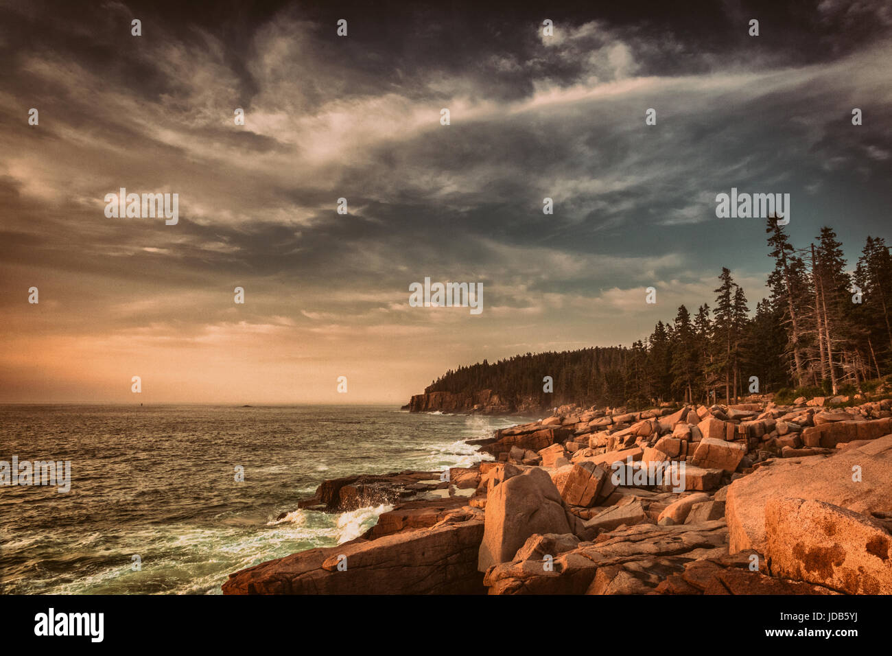 Fotografen sind die roten Farben übersät Granitfelsen entlang dem östlichen Rand von Acadia Nationalpark in Maine gezogen. Stockfoto