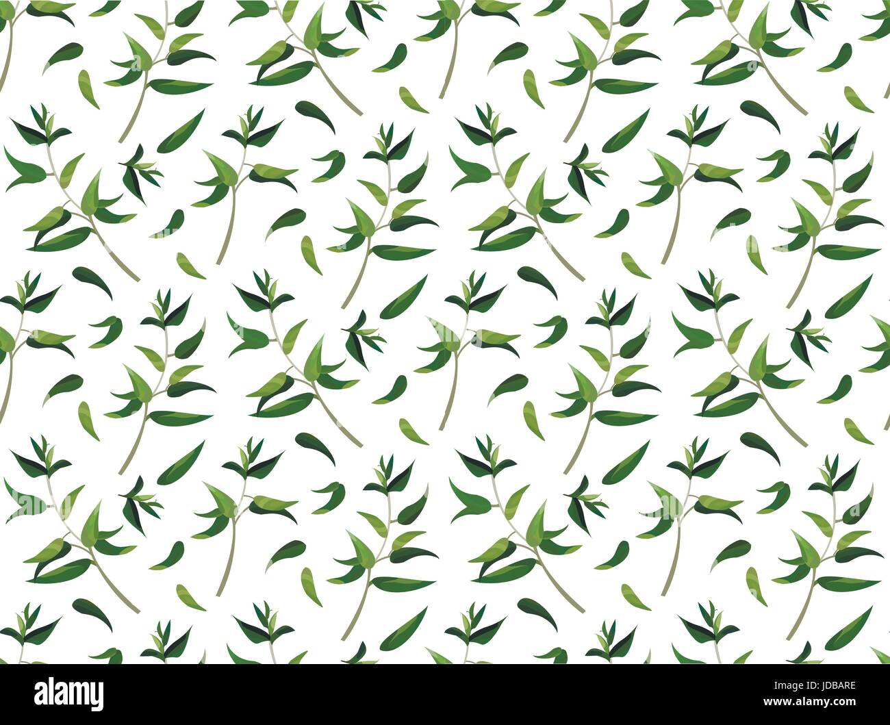 Nahtlose Muster von Hand gezeichnet Aquarell Stil Pflanzen Eukalyptus Zweige Grün Blätter Laub Zusammensetzung. Farbe Vektor Illustration Natur staatlich Stock Vektor