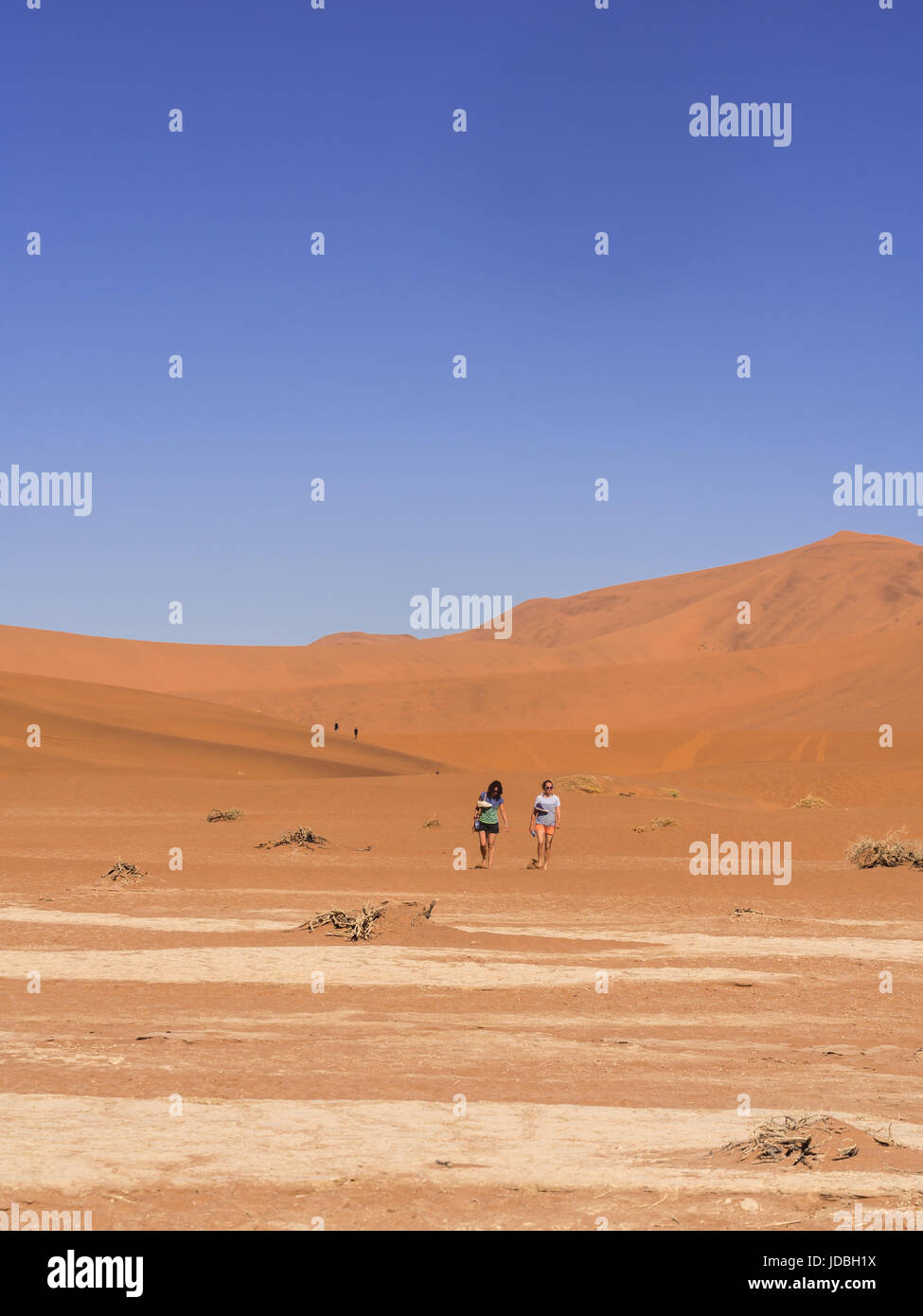 DEAD VLEI, NAMIBIA - 19. Juni 2016: Passanten zum Dead Vlei in Namib-Naukluft-Nationalpark auf der Namib-Wüste, Namibia. Stockfoto