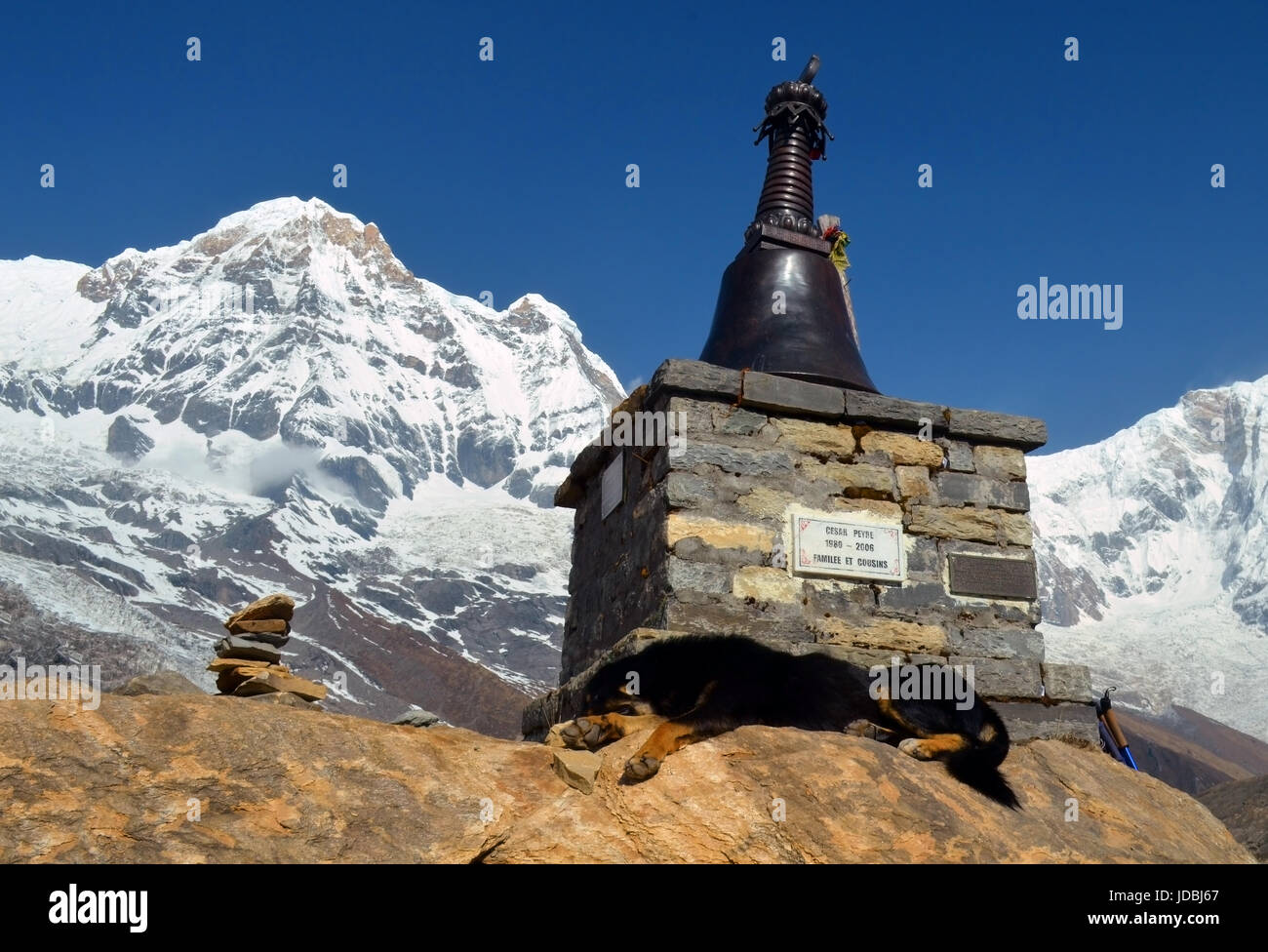 Hund am Grab der Kletterer in Annapurna Base Camp liegen. Stockfoto