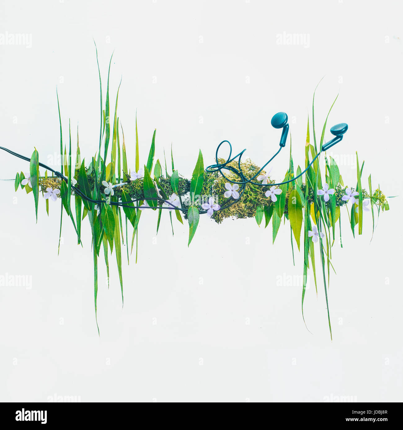 Konzeptionelle Foto mit Schallwelle-Grafik, die aus Blättern und Rasen aus. Kopfhörer mit Musik der Natur. Stockfoto