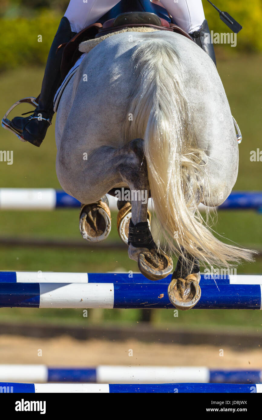 Mädchen Reiter Pferd springen Tor Polen Closeup Hinterbeine Hufen Aktion. Stockfoto