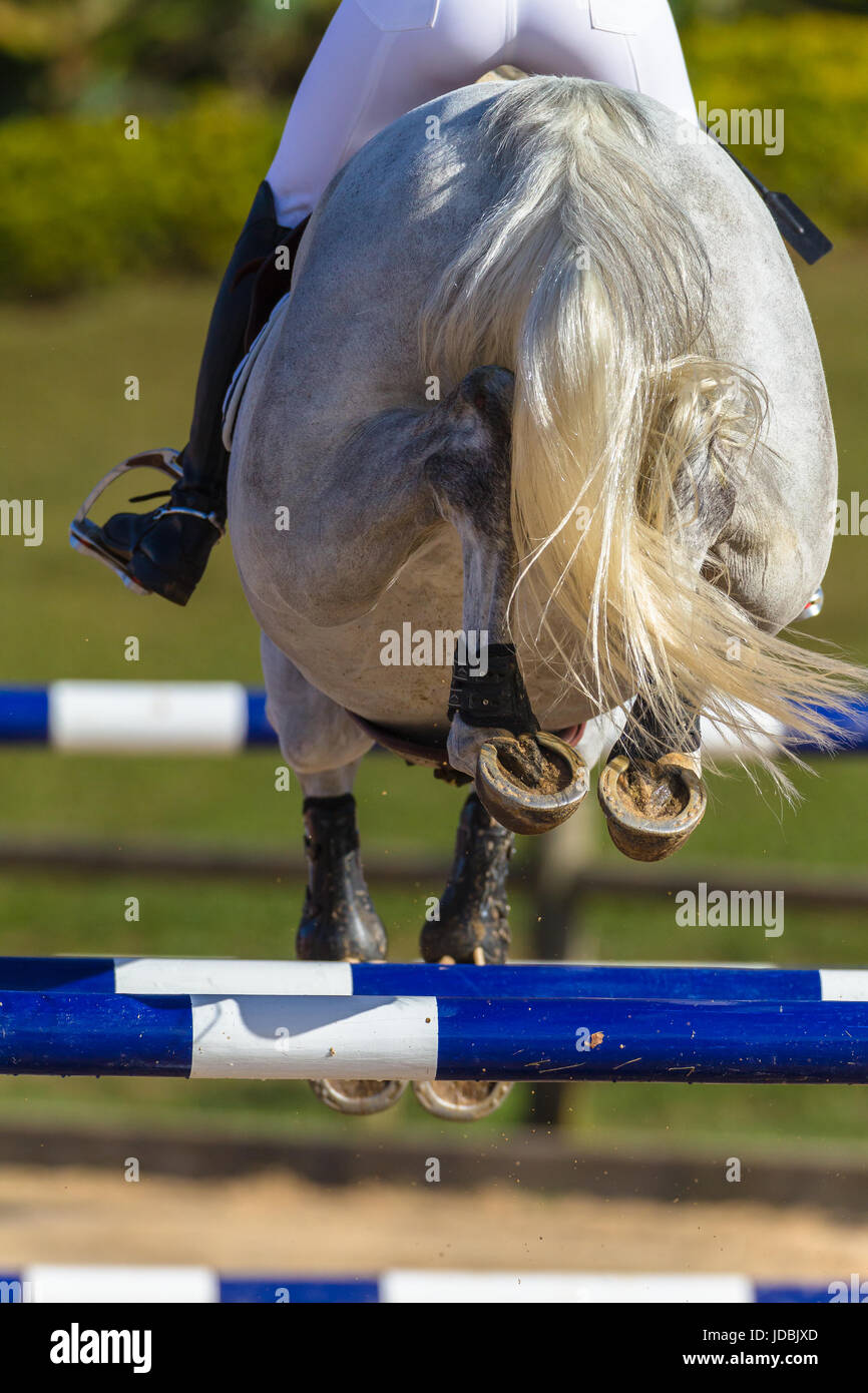 Mädchen Reiter Pferd springen Tor Polen Closeup Hinterbeine Hufen Aktion. Stockfoto