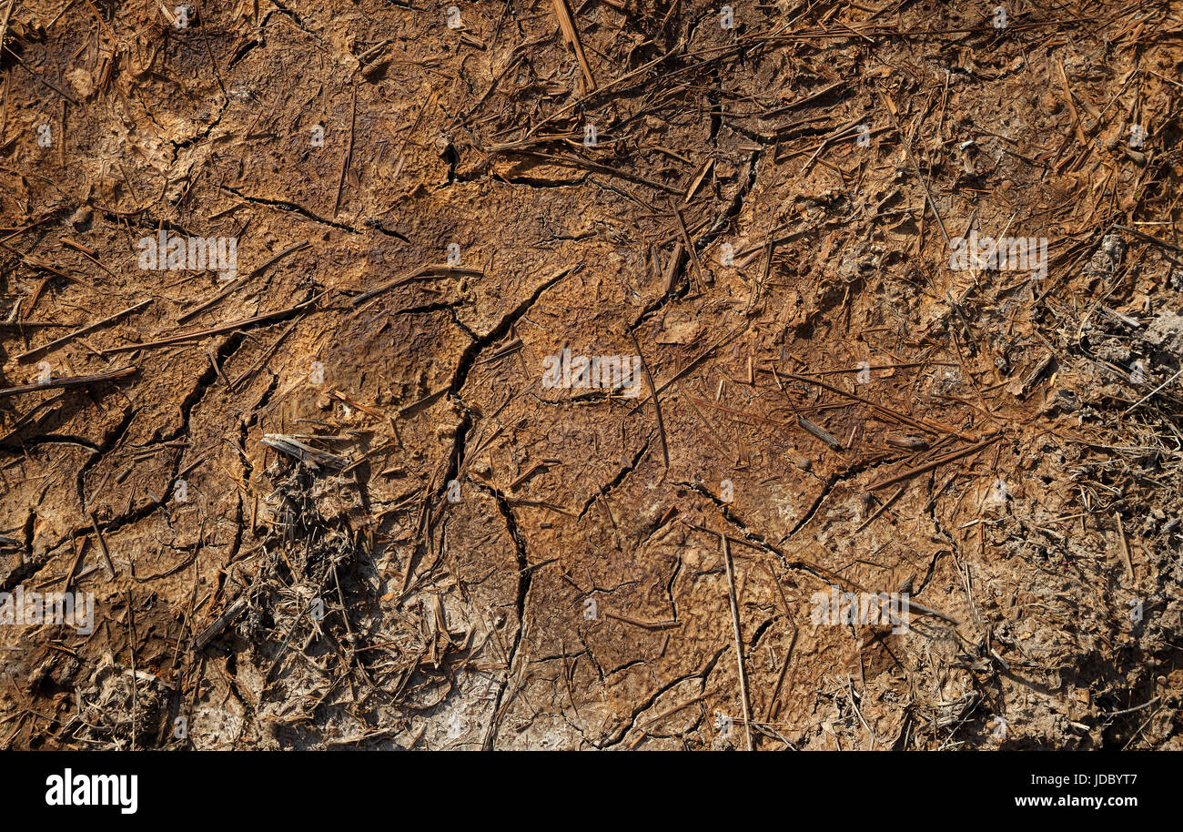 Braune abstrakten Hintergrund. Trockene braune Erde mit Rissen Stockfoto