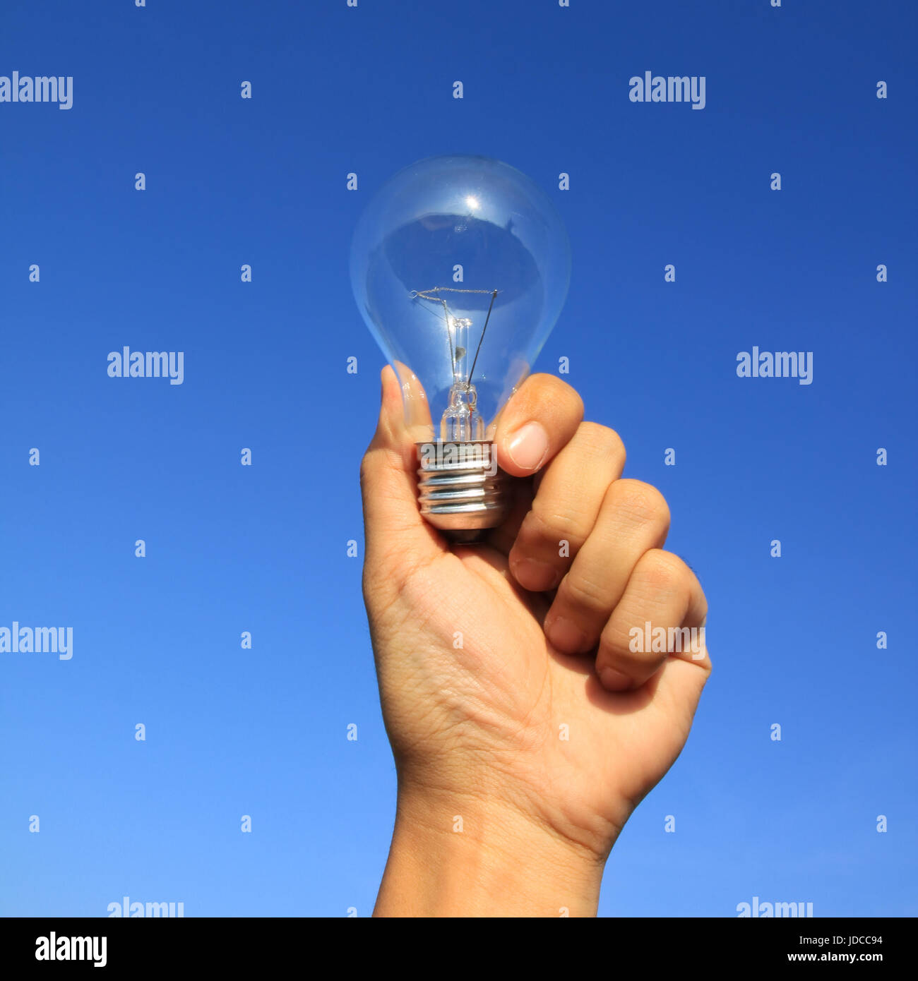 Glühbirne in der Hand mit klare Natur Konservierungskonzept Stockfoto