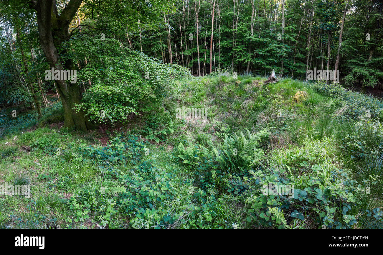 Waltham, Bronzezeit Barrow Friedhof in South Downs National Park, West Sussex, Großbritannien Stockfoto