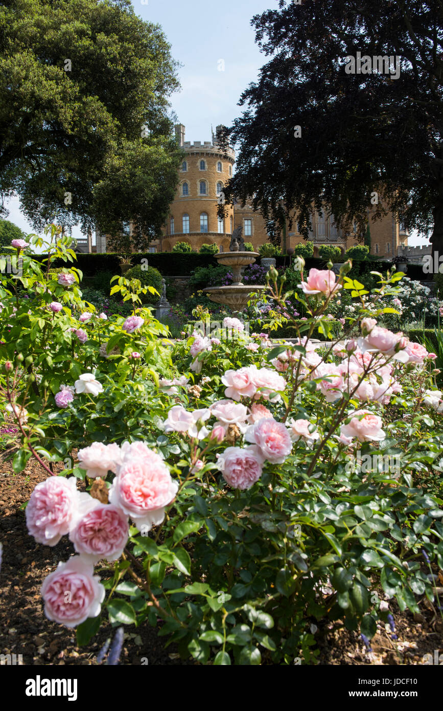 Ein Blick auf Belvoir Castle durch den schönen Blumen in der Rose Garden, Leicestershire, England UK Stockfoto
