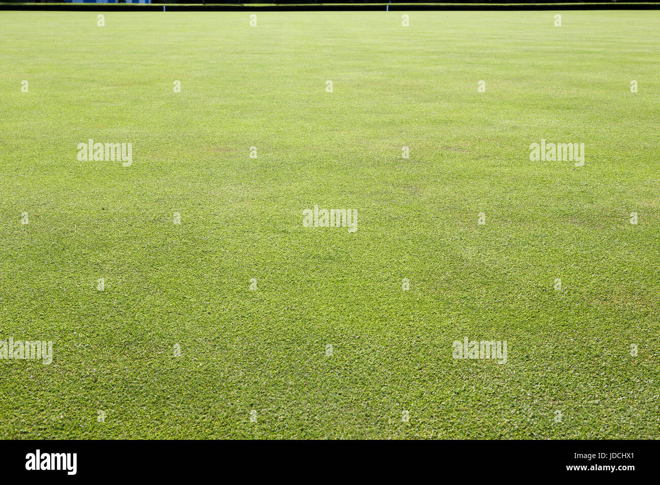 In perfektem Zustand auf Bowling Green grass Stockfoto