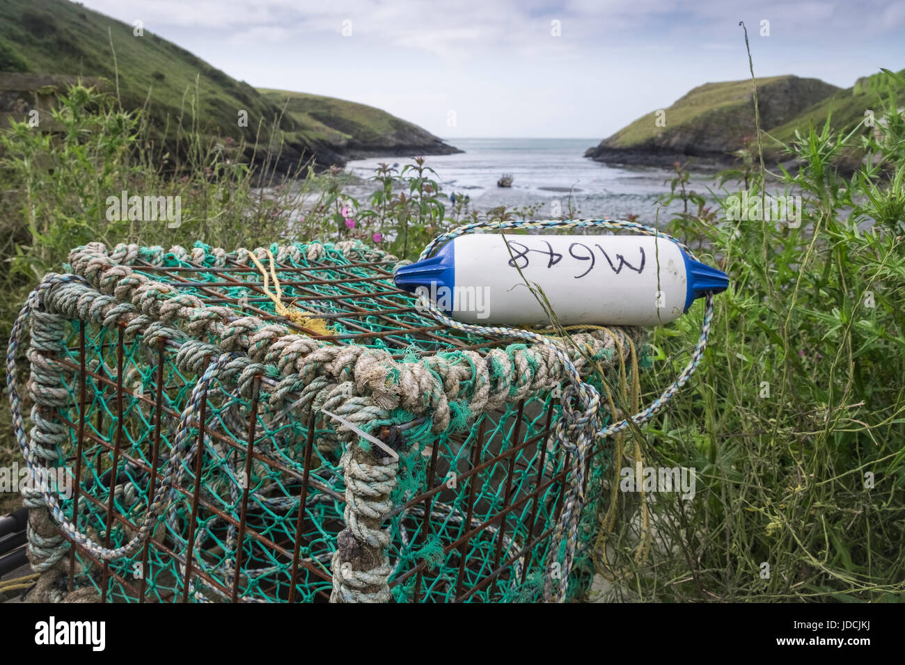 Korb am Küste am Hafen von Abercastle, Angeln, Pembrokeshire Coast National Park, Wales, UK Stockfoto